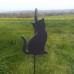 Chat 14x10cm