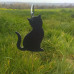 Chat 10X7 cm