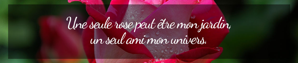 Ardoise Jardin